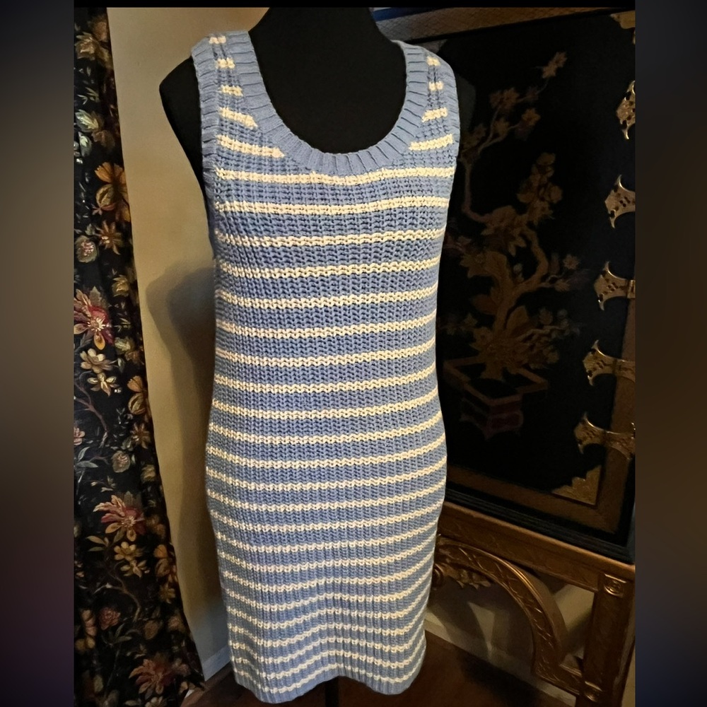 American Eagle Outfitters Blue & White Striped Sleeveless Knit Dress